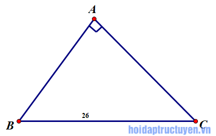 RE: Cho 1 tam giác vuông, biết tỉ số 2 cạnh góc vuông là 5:12, cạnh huyền