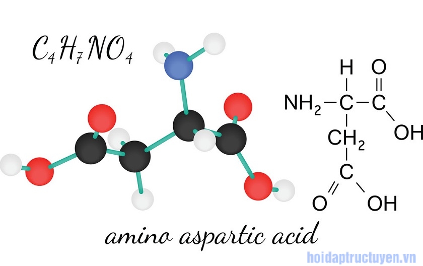 Aspartic Acid là gì