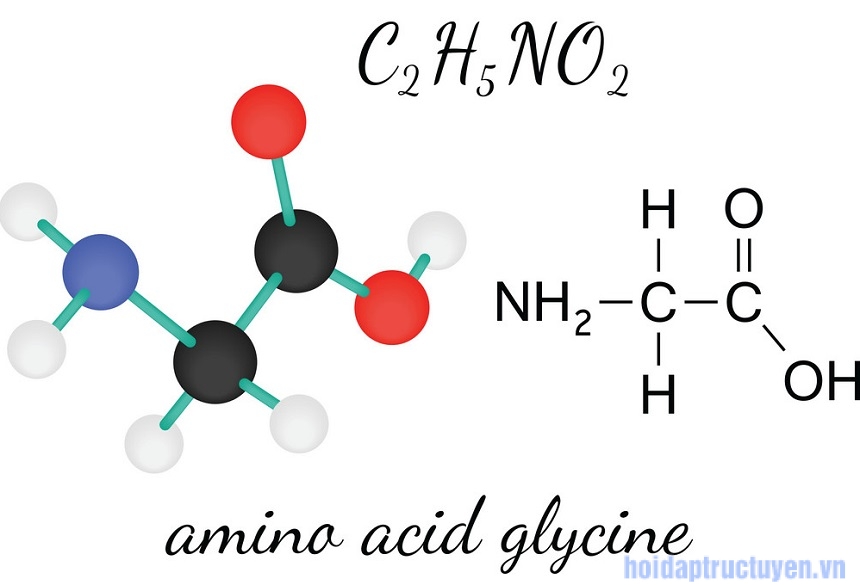 glycine là gì