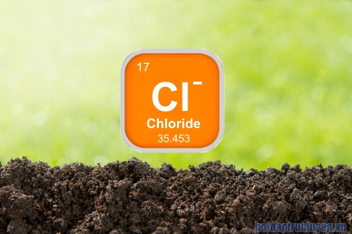 Chloride hay clorua là gì