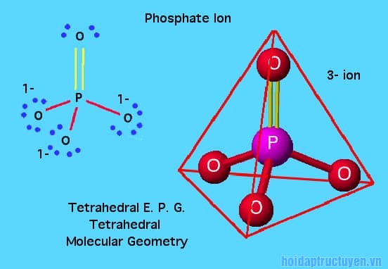 phosphate là gì
