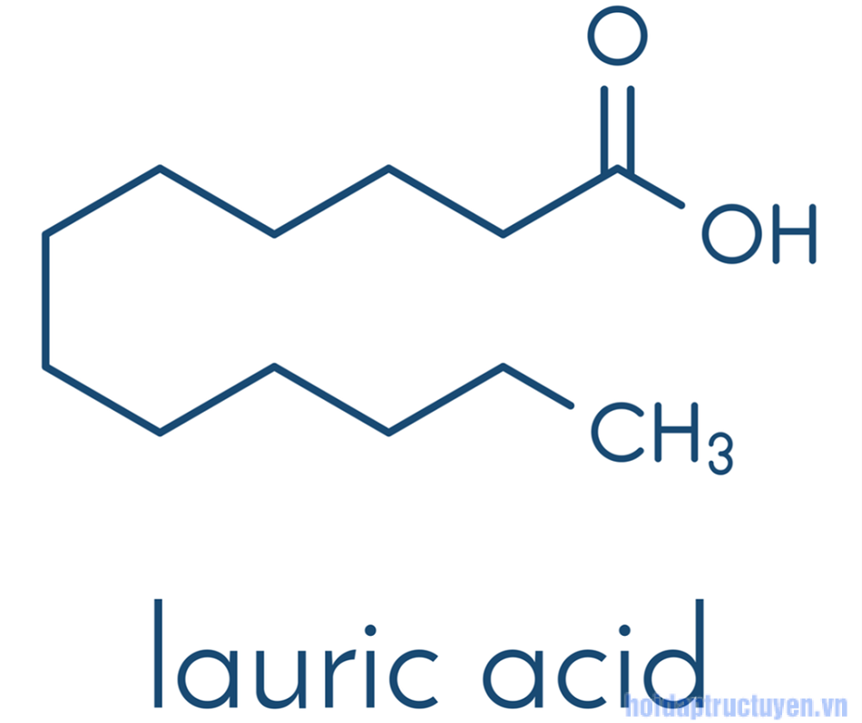 Lauric Acid Structure