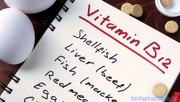 vitamin b12 có trong thực phẩm nào
