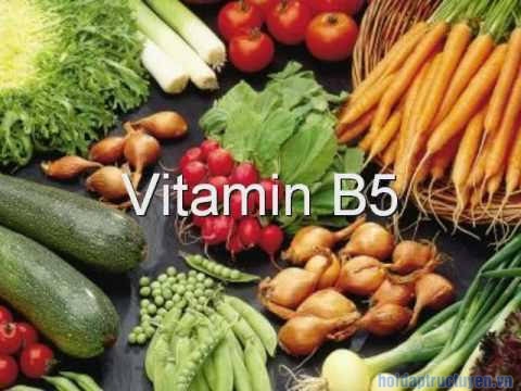 vitamin b5 là gì