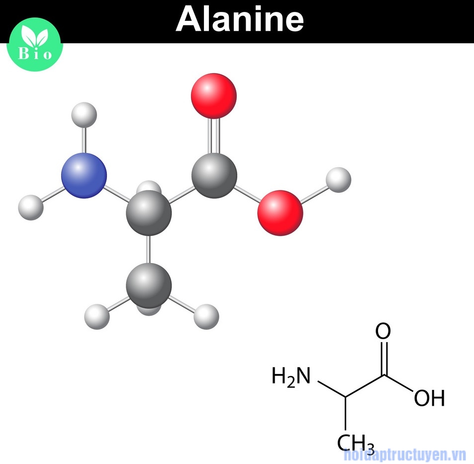 Alanine trong mỹ phẩm